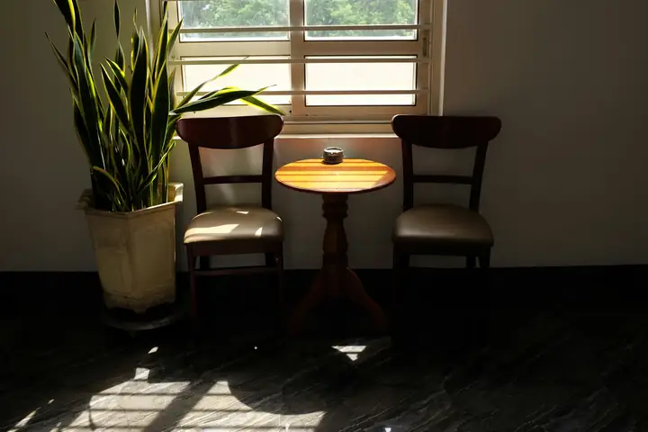 Two wooden chairs and a small round table by a sunny window, a tall plant in the corner.