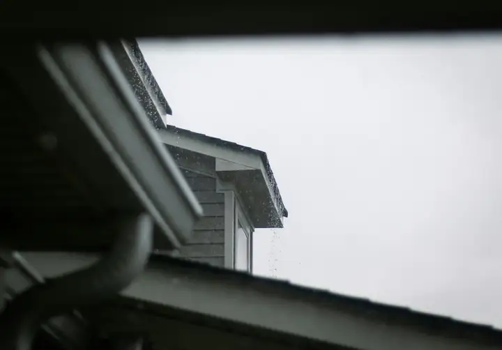 The edge of a roof and its gutter against a grey sky.